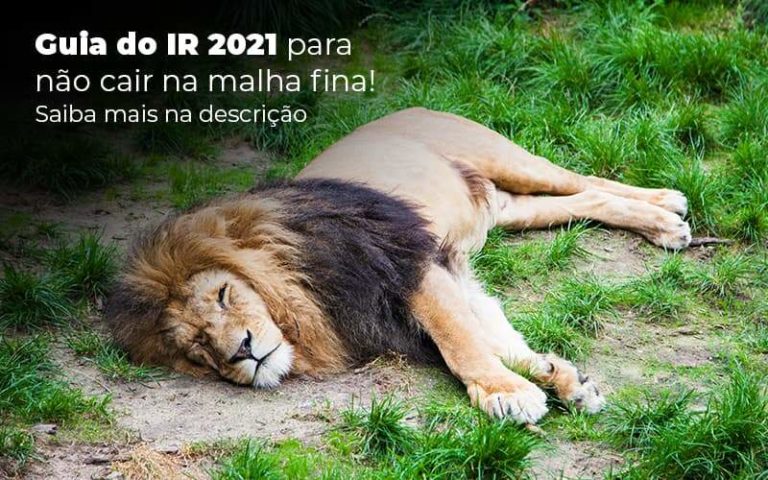 Ir 2021 O Que é Preciso Saber Sobre? - Plima Contabilidade