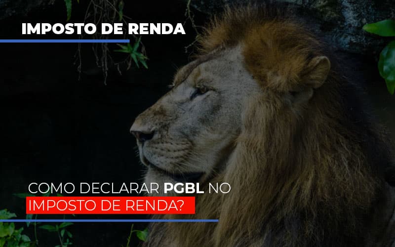 Ir2020: Como Declarar Pgbl No Imposto De Renda? - Plima Contabilidade