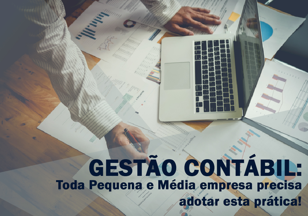 GestÃo ContÁbil: Toda Pequena E Média Empresa Precisa Adotar Esta Prática! - Plima Contabilidade