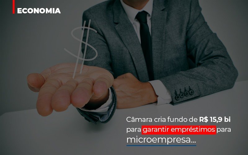 Câmara Cria Fundo De R$ 15,9 Bi Para Garantir Empréstimos Para Microempresa - Plima Contabilidade