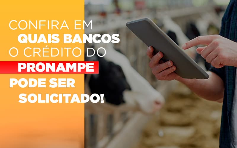 Confira Em Quais Bancos O Crédito Do Pronampe Já Pode Ser Solicitado! - Plima Contabilidade