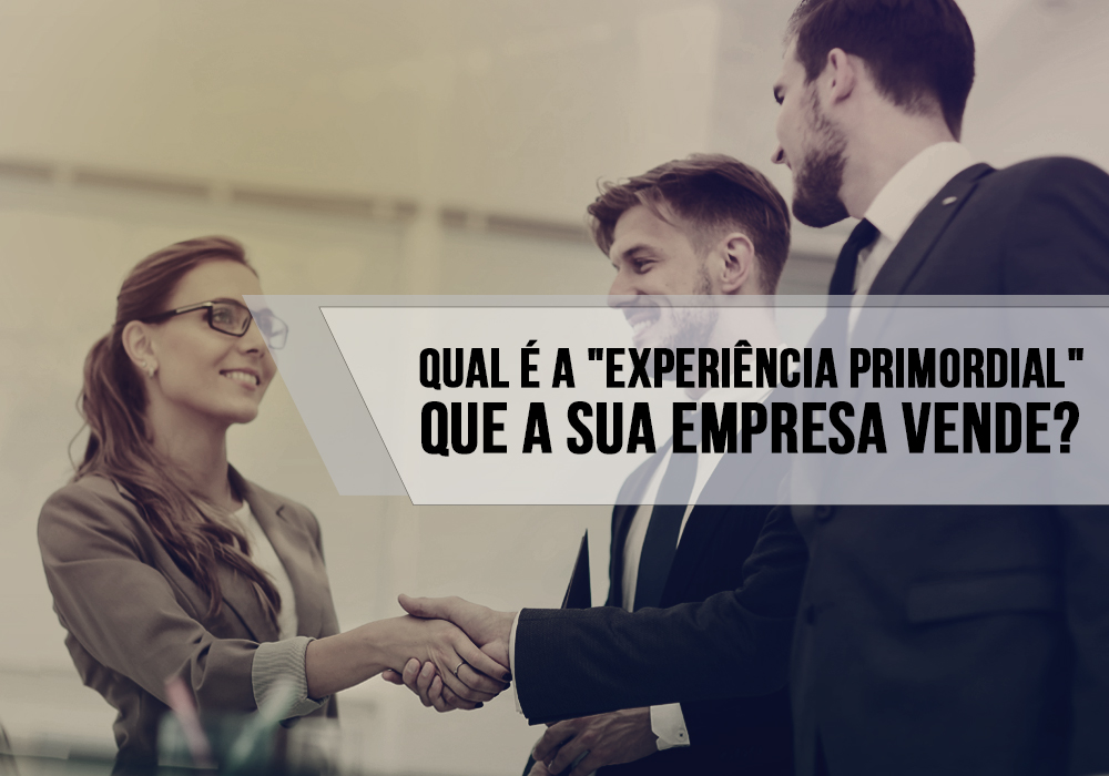 Qual é A "experiência Primordial" Que A Sua Empresa Vende? - Plima Contabilidade