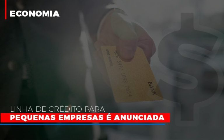 Linha De Crédito Para Pequenas Empresas é Anunciada - Plima Contabilidade