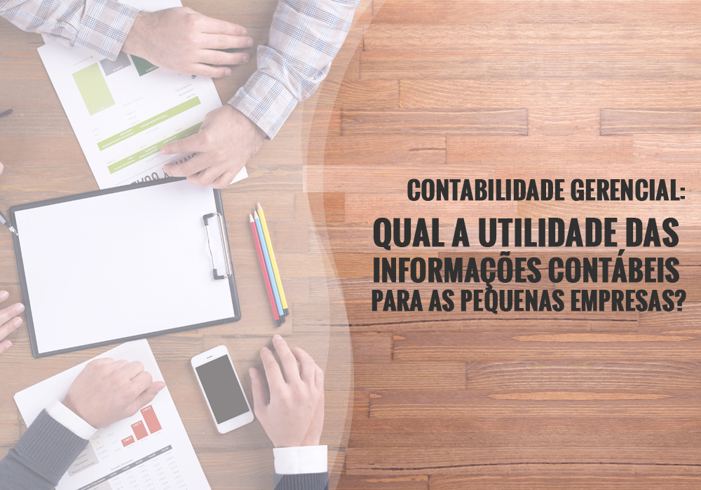 Contabilidade Gerencial: Qual A Utilidade Das Informações Contábeis Para As Pequenas Empresas? - Plima Contabilidade