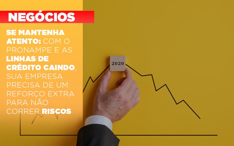 Se Mantenha Atento: Com O Pronampe E As Linhas De Crédito Caindo, Sua Empresa Precisa De Um Reforço Extra Para Não Correr Riscos - Plima Contabilidade